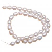 Rice Cultured Freshwater Pearl Beads, DIY, white, 8-9mm cm 