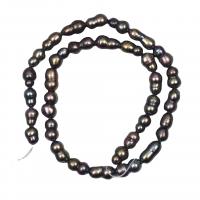 Baroque Cultured Freshwater Pearl Beads, Calabash, DIY, black, 6-8mm cm 