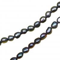 Baroque Cultured Freshwater Pearl Beads, DIY, black, 7-8mm cm 