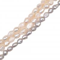 Baroque Cultured Freshwater Pearl Beads, DIY 7-8mm cm 
