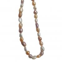 Keshi Cultured Freshwater Pearl Beads, irregular, DIY mixed colors cm 