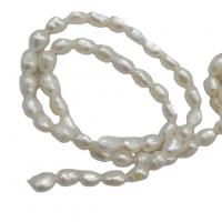 Keshi Cultured Freshwater Pearl Beads, DIY, white, 5-6mm cm 