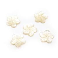 Seashell Beads, Natural Seashell, Flower, Carved, DIY, white, 27mm 