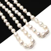 Natural Freshwater Pearl Loose Beads, DIY, white, 11x14- Approx 38-40 cm 