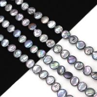 Coin Cultured Freshwater Pearl Beads, Flat Round, DIY, black, 10-11mm Approx 38 cm 
