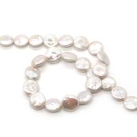 Button Cultured Freshwater Pearl Beads, Flat Round, DIY, white, 16-17mm Approx 38 cm 