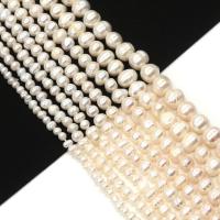 Potato Cultured Freshwater Pearl Beads, DIY white Approx 38 cm 