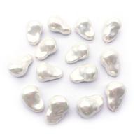 Perles en coquille naturel, coquille d'eau douce, DIY & normes différentes pour le choix, blanc, Vendu par PC