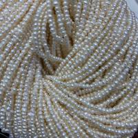 Naturel d'eau douce perles, perle d'eau douce cultivée, DIY, blanc, 3mm Environ 15 pouce, Vendu par brin