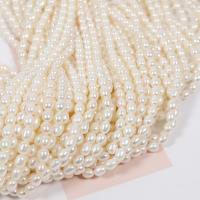 Rice Cultured Freshwater Pearl Beads, DIY, white, 5.5mm Approx 15 Inch 