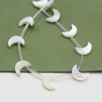 White Lip Shell Beads, gold color plated, DIY white 