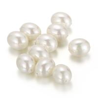 Natural Freshwater Shell Beads, Oval, DIY, white Approx 