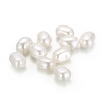 Perles en coquille naturel, DIY, blanc Environ Vendu par sac