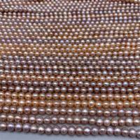 Rice Cultured Freshwater Pearl Beads, DIY, multi-colored, 4.5-5.5mm Approx 15 Inch 