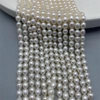 Rice Cultured Freshwater Pearl Beads, DIY, white, 5-6mm Approx 15 Inch 