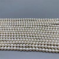 Round Cultured Freshwater Pearl Beads, DIY, white, 5-5.5mm Approx 15 Inch 