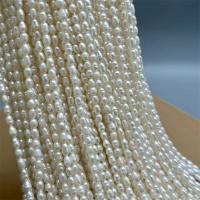 Rice Cultured Freshwater Pearl Beads, DIY, white, 3-4mm Approx 15 Inch 