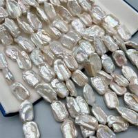 Barock kultivierten Süßwassersee Perlen, Natürliche kultivierte Süßwasserperlen, DIY, weiß, 14*20mm, Länge:ca. 15 ZollInch, verkauft von Strang