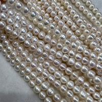 Naturales agua dulce perlas sueltas, Perlas cultivadas de agua dulce, Bricolaje, más colores para la opción, 7-8mm, longitud:aproximado 15 Inch, Vendido por Sarta