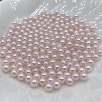Natural Akoya Cultured Pearl Beads, Akoya Cultured Pearls, Round, DIY, pink, 5.5-6mm 