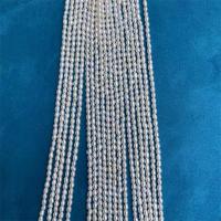 Rice Cultured Freshwater Pearl Beads, DIY, white, 2.5-3mm Approx 15 Inch 