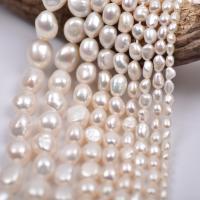 Barock kultivierten Süßwassersee Perlen, Natürliche kultivierte Süßwasserperlen, DIY & verschiedene Größen vorhanden, weiß, Länge:ca. 36-38 cm, verkauft von Strang