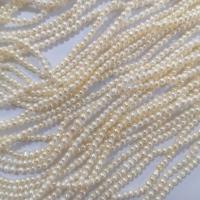 Naturales agua dulce perlas sueltas, Perlas cultivadas de agua dulce, Bricolaje, Blanco, 2.5-3mm, longitud:aproximado 36-38 cm, Vendido por Sarta