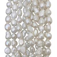 Barock kultivierten Süßwassersee Perlen, Natürliche kultivierte Süßwasserperlen, DIY, keine, 7-8mm, Länge:ca. 15 ZollInch, verkauft von Strang
