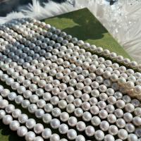 perles nucléées cultivées d'eau douce , perle d'eau douce cultivée, DIY & normes différentes pour le choix, blanc Environ 15 pouce, Vendu par brin