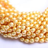 Rice Cultured Freshwater Pearl Beads, DIY, golden, 7-8mm Approx 39 cm 