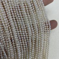 Naturales agua dulce perlas sueltas, Perlas cultivadas de agua dulce, Bricolaje, Blanco, 2.5-3mm, longitud:aproximado 15 Inch, Vendido por Sarta