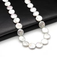 Bouton de culture des perles d'eau douce, perle d'eau douce cultivée, Plat rond, DIY, blanc, 16-17mm, Environ Vendu par brin