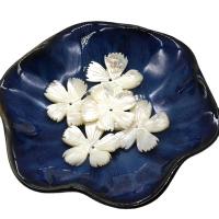 Seashell Beads, Natural Seashell, Flower, DIY, white, 30mm 