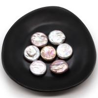 Button Cultured Freshwater Pearl Beads, Flat Round, DIY & no hole 19-20mm 
