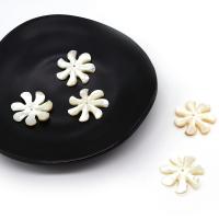 Seashell Beads, Natural Seashell, Flower, Carved, DIY, white, 6mm 