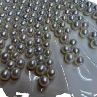 Perlas Freshwater sin Agujero, Perlas cultivadas de agua dulce, Esférico, Bricolaje, Blanco, 6.5-7mm, Vendido por UD