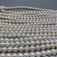 Rice Cultured Freshwater Pearl Beads, DIY, white, 8-9mm Approx 15 Inch 