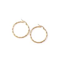 Stainless Steel Leverback Earring, 304 Stainless Steel, gold color plated, fashion jewelry & for woman, golden 