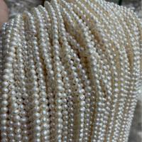 Naturel d'eau douce perles, perle d'eau douce cultivée, Rond, DIY, blanc, 4mm Environ 15 pouce, Vendu par brin