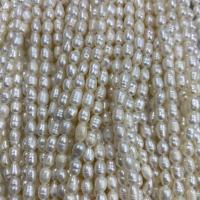 Rice Cultured Freshwater Pearl Beads, DIY, white, 4-5mm Approx 15 Inch 