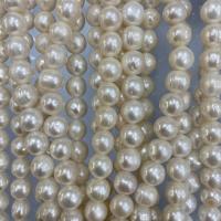 Naturel d'eau douce perles, perle d'eau douce cultivée, Rond, DIY, blanc, 10-11mm Environ 15 pouce, Vendu par brin