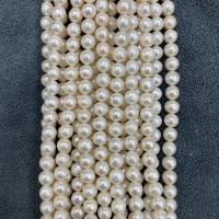 Naturel d'eau douce perles, perle d'eau douce cultivée, Rond, DIY, blanc, 10-11mm Environ 15 pouce, Vendu par brin