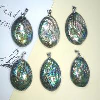 Abalone Shell Pendants, Oval, Unisex, multi-colored, 35-45x52-60mm 