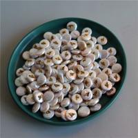 Bouton de culture des perles d'eau douce, perle d'eau douce cultivée, DIY, blanc, 12mm Vendu par sac