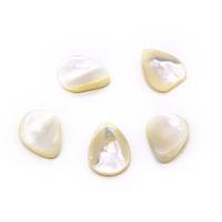 Seashell Beads, Natural Seashell, petals, DIY, white 