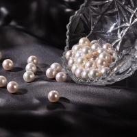 Round Cultured Freshwater Pearl Beads, DIY white [