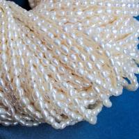 Rice Cultured Freshwater Pearl Beads, DIY white Approx 15 Inch 