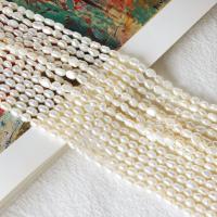 Naturel d'eau douce perles, perle d'eau douce cultivée, DIY & styles différents pour le choix, blanc, Environ Vendu par brin