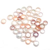 Button Cultured Freshwater Pearl Beads, Natural & no hole 12-14mm 