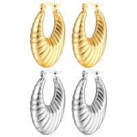 Stainless Steel Leverback Earring, 304 Stainless Steel, Vacuum Ion Plating, for woman & hollow 